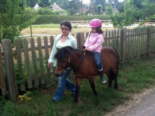  Outings with ponies near Fontainebleau 